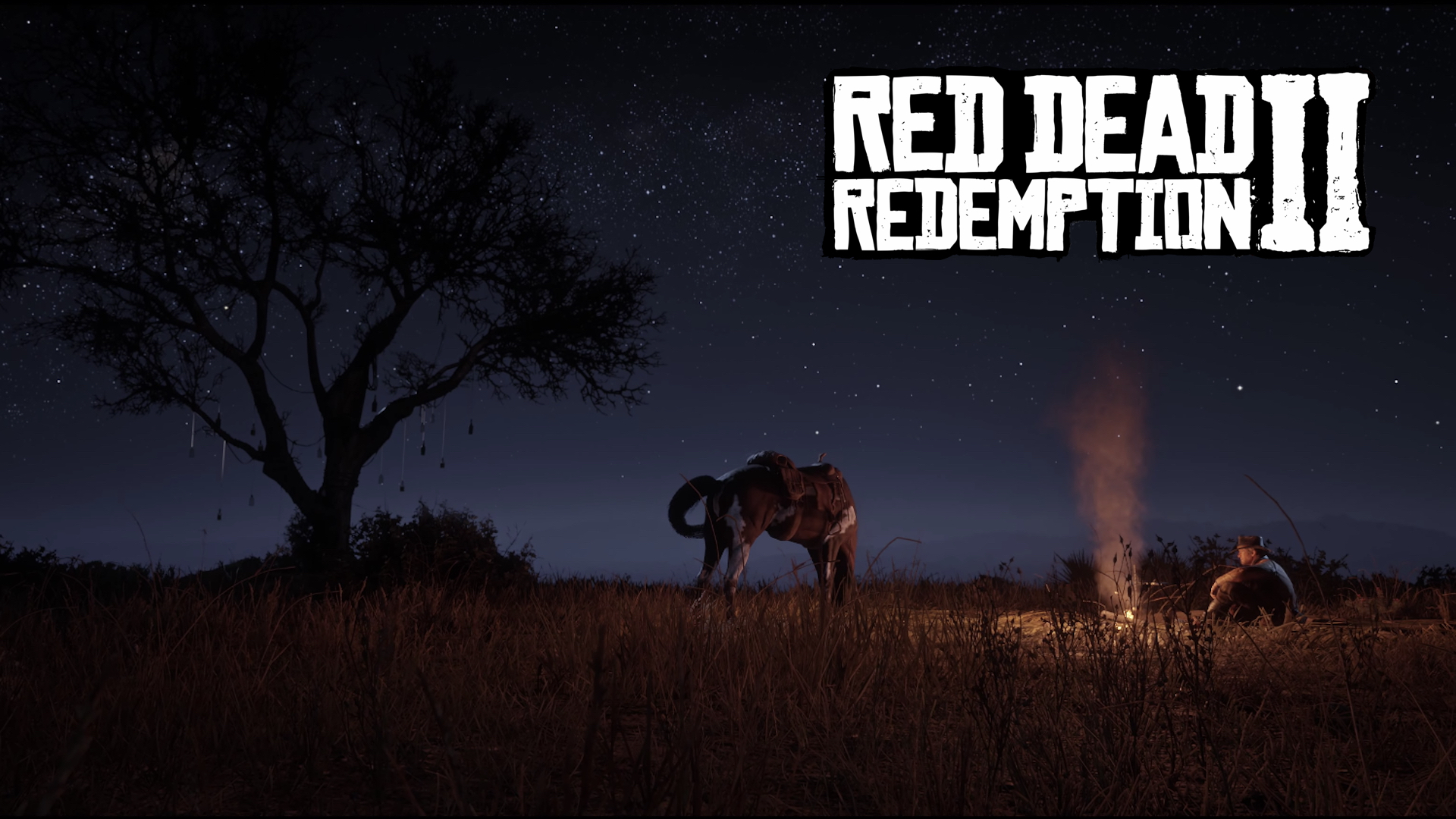 red dead redemption 2 Stück