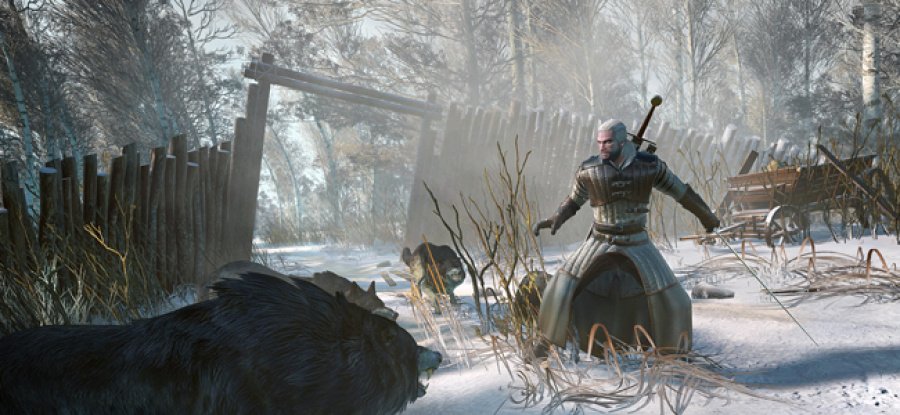 The Witcher 3 Wild Hunt - Komplettlösung für PS4 PlayStation 4