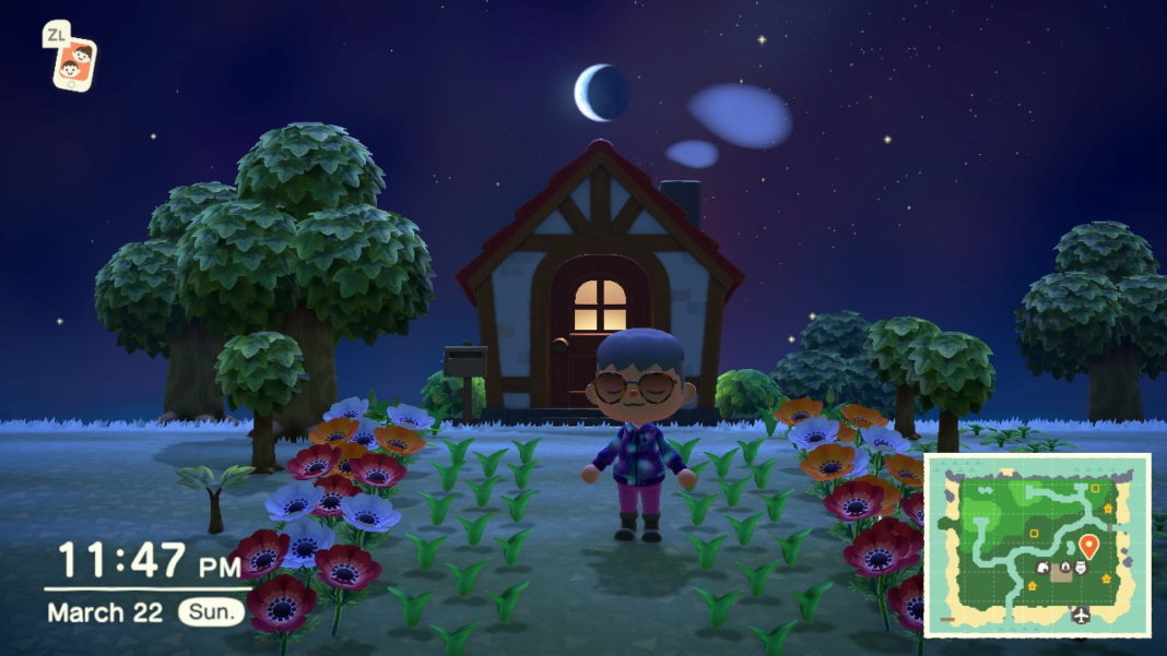 Animal-Crossing-New-Horizons-What-to-do-with-Flowers