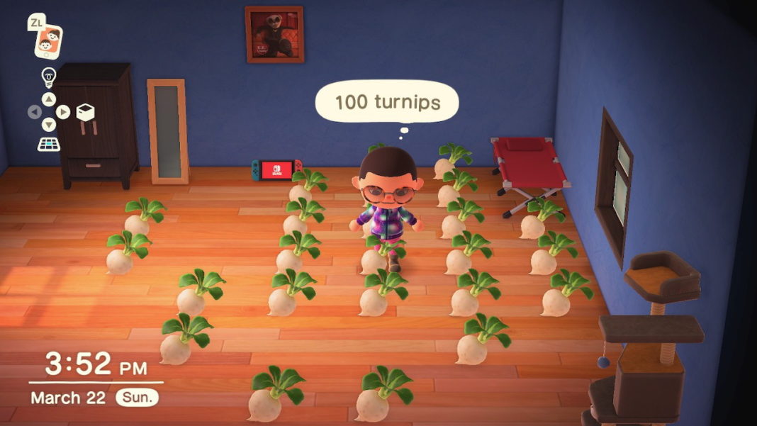 Animal-Crossing-New-Horizons-Where-to-Put-Turnips