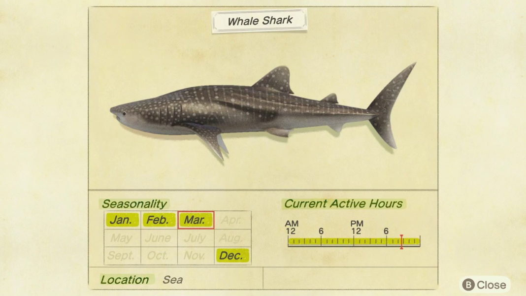 Animal-Crossing-New-Horizons-–-How-to-Catch-Whale-Sharks