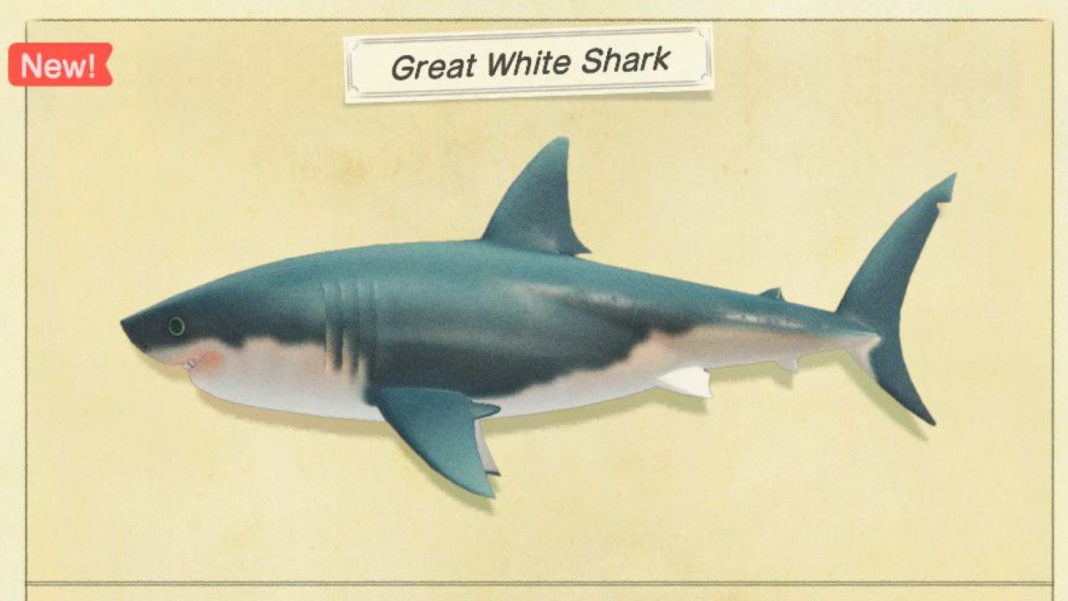 Animal-Crossing-New-Horizons-–-How-to-Catch-Great-White-Sharks
