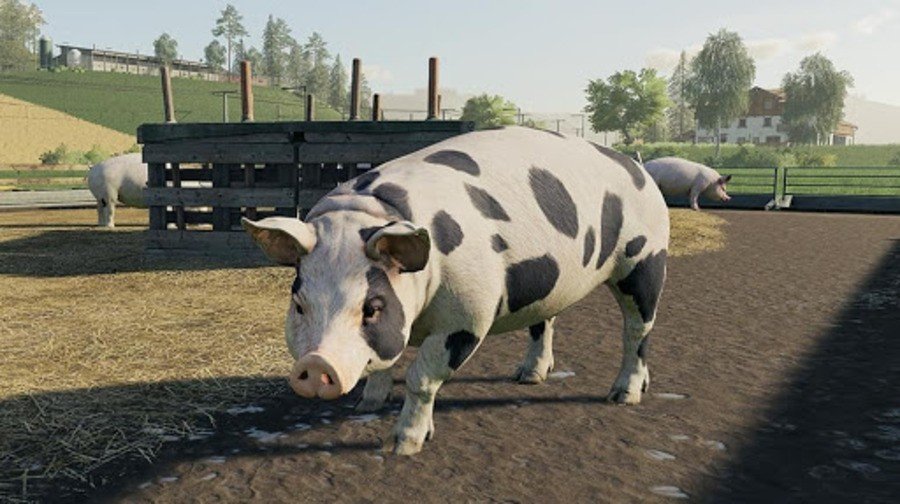 Landwirtschafts-Simulator 19 PS4 PlayStation 4 1