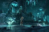 The Elder Scrolls Online: Greymoor Review - Screenshot 3 von 5