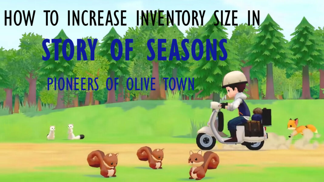 story-of-seasons-pioneers-of-olive-town-how-to-increase-inventory-size