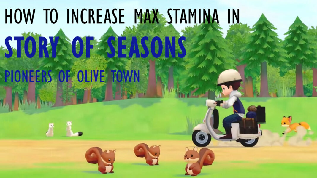 story-of-seasons-pioneers-of-olive-town-how-to-increase-max-stamina-1