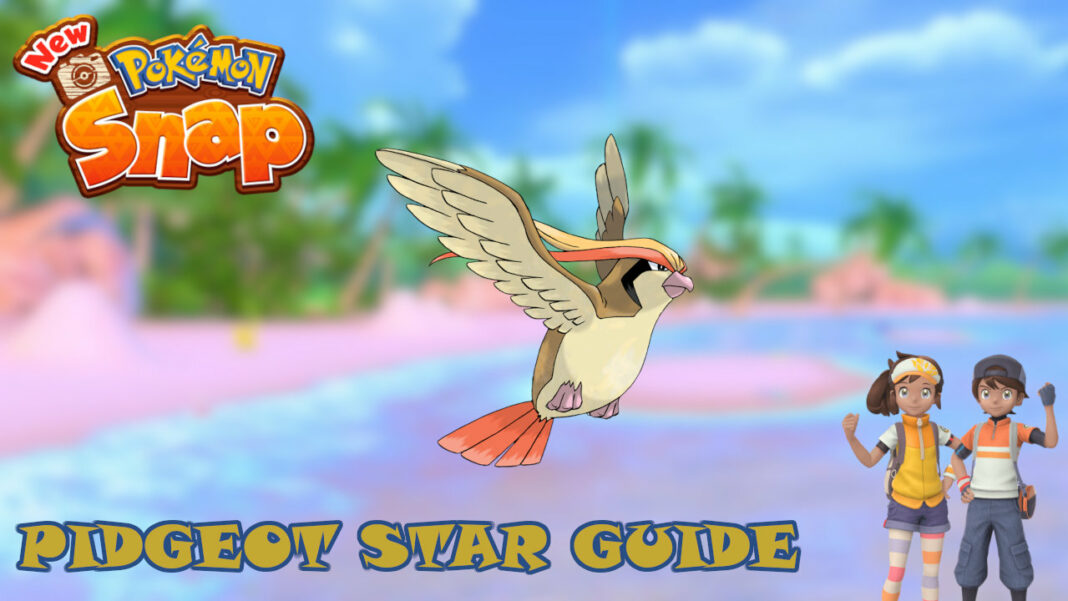 new-pokemon-snap-pidgeot