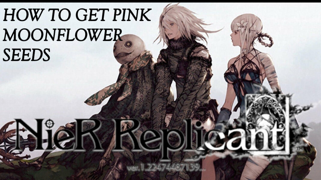 nier-replicant-pink-moonflower-seeds