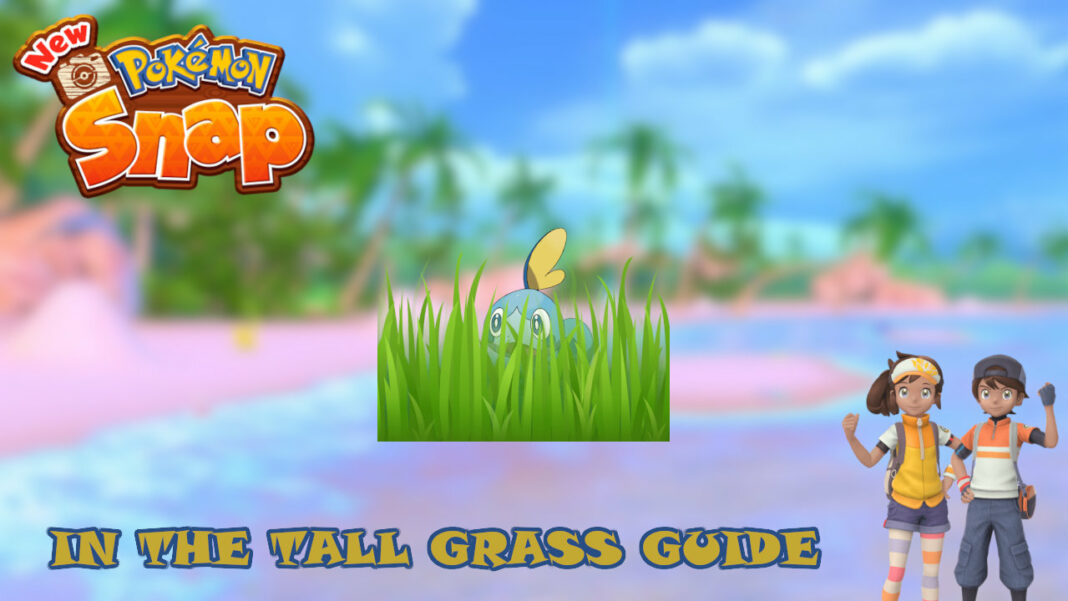 new-pokemon-snap-in-the-tall-grass