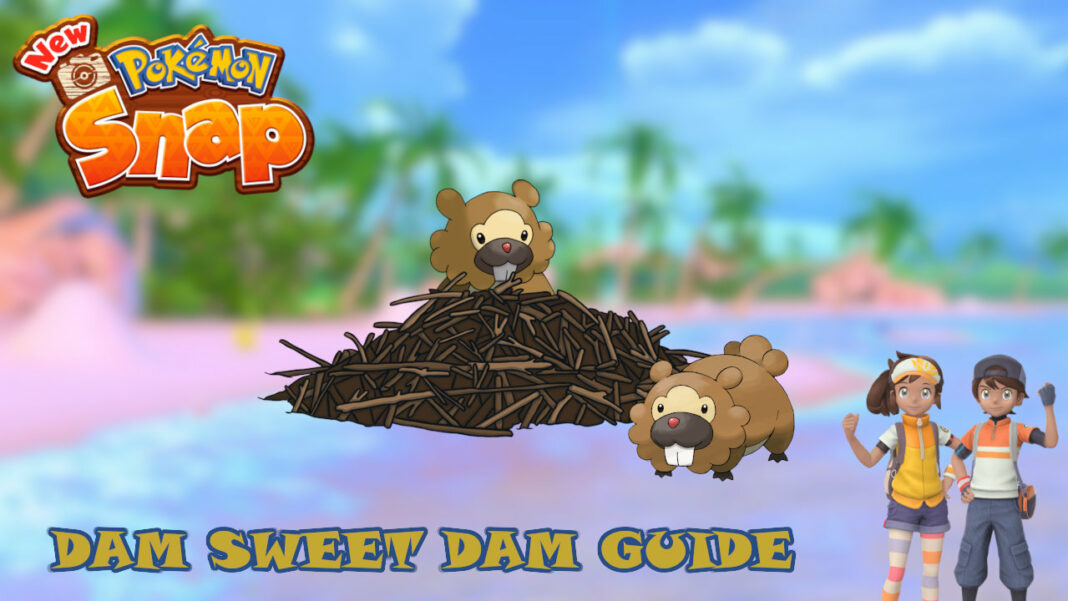 new-pokemon-snap-dam-sweet-dam