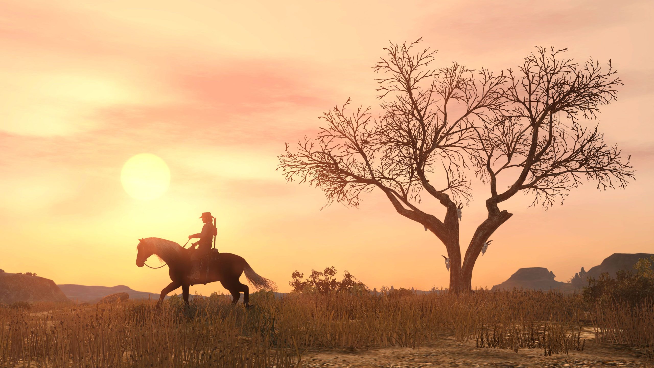 Red Dead Redemption – PS4_02