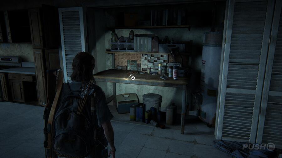 The Last of Us 2: The Seraphites Collectibles Guide 32