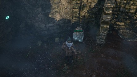 Hölle ist wir: Wie man die Dungeon -Türen in Senedra Forest 4 öffnet 4