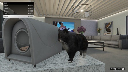 GTA Online: So eröffnen Sie ein Safehouse in den Hügeln und die besten Villen zum Kauf 17