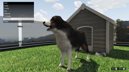 GTA Online: So eröffnen Sie ein Safehouse in den Hügeln und die besten Villen zum Kauf 16